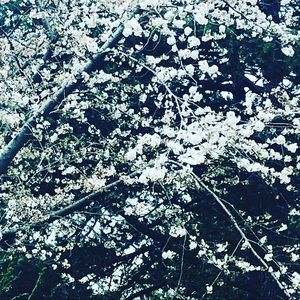 Meet your Posher, Lyn